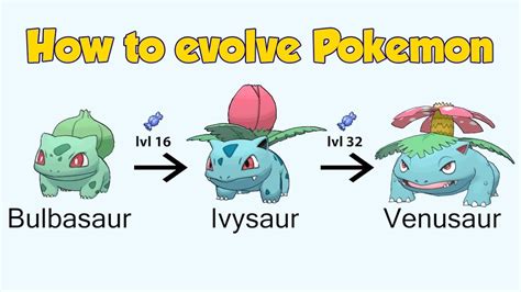 download pokemon evolution|Video: Pokémon Evolutions .